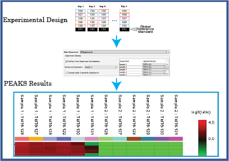 PEAKS Q - TMT/iTRAQ