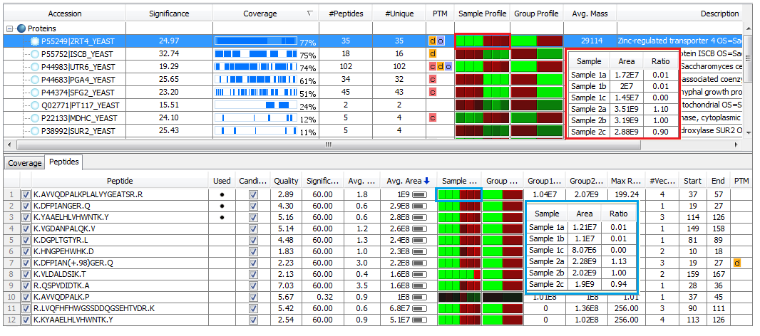 Protein Quantification (Label-Free)