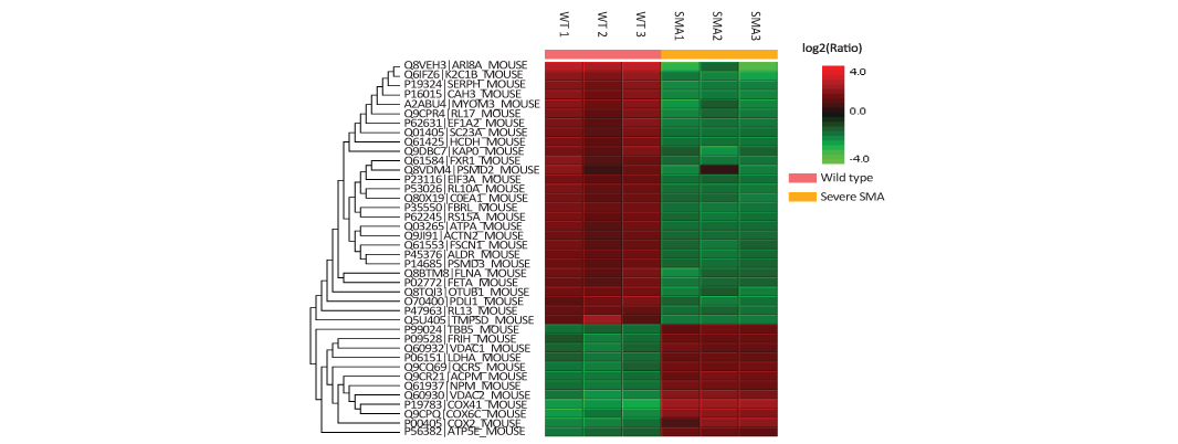 heatmap quantification