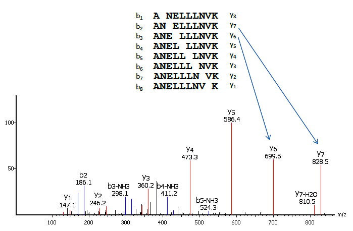 PEAKS - peptide de novo sequencing