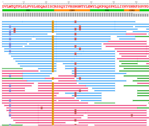 de novo protein sequence analysis