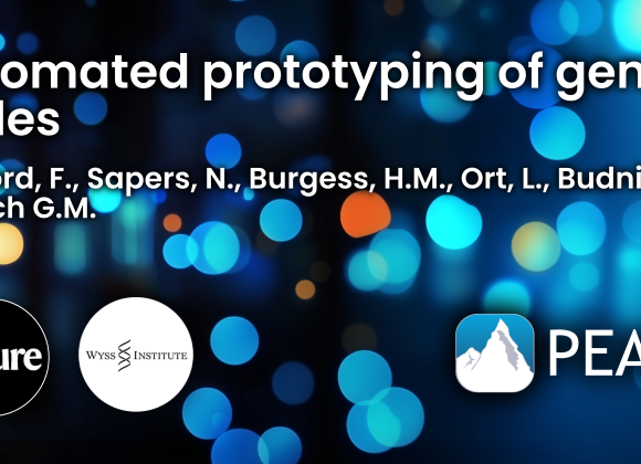 Automated prototyping of genetic codes