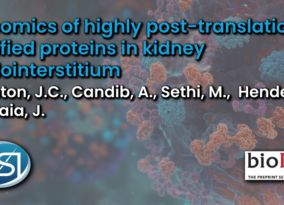 Proteomics of highly post-translationally modified proteins in kidney tubulointerstitium