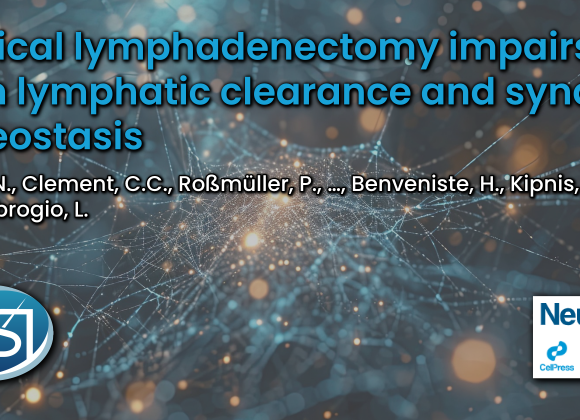 Cervical lymphadenectomy impairs brain lymphatic clearance and synaptic proteostasis