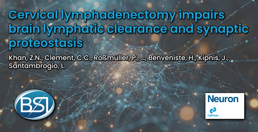 Cervical lymphadenectomy impairs brain lymphatic clearance and synaptic proteostasis